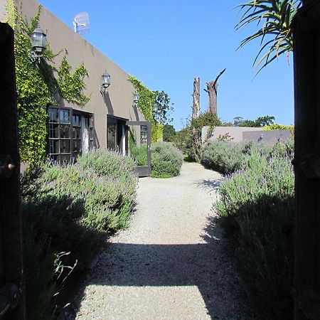 פלטנברג ביי Plett River Lodge מראה חיצוני תמונה